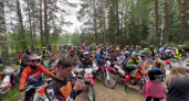 В марийских лесах более ста мотоциклистов устроили массовый заезд