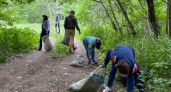 Йошкаролинцев зовут на уборку в городской парк за подарок