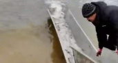 В Марий Эл выпустили более 14 тысяч штук молоди сазана в Чебоксарское водохранилище 