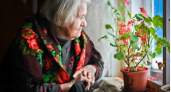 В Госдуме обсуждают отпуск для бабушек и дедушек по случаю рождения внуков 