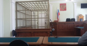 Житель Козьмодемьянска прятался от полиции и теперь лишится свободы