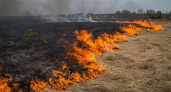 В Марий Эл зарегистрировано три случая возгораний сухой травы
