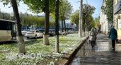 Цветущие улицы Марий Эл накрыл майский снег