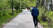 Йошкаролинец за один день нашел 370 тысяч, чтобы заплатить алименты сыну