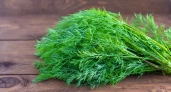 Пряная зелень больше не морожу и не сушу на зиму: делаю из укропа, петрушки и чеснока ароматную приправу, хранится годами