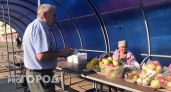 Жители Йошкар-Олы смогут закупиться на сельскохозяйственной ярмарке