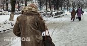Жительницу Советского района арестовали за лень
