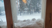 Из окон не дует даже в метель: хвойный предмет на подоконнике блокирует сквозняки и источает ароматы леса