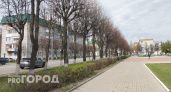 На нескольких улицах Йошкар-Олы высадят новые деревья