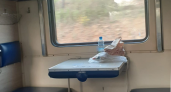 В боковушке комфортнее, чем в купе: где лучше ехать в поезде