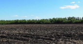 Участок плодородной земли спасли в Моркинском районе