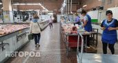 Одна химия и ноль мяса: Роскачество назвало самую мерзкую марку филе цыпленка