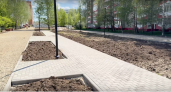 Новую аллею в Йошкар-Оле построят по проекту школьников