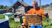 Главный врач стал фермером и пытается восстановить в Марий Эл разрушенное хозяйство: “Козы, молоко и вкусный мед”