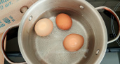 Горячая или холодная? В какую воду надо класть яйца для варки – запомните раз и навсегда