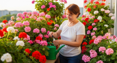 1 капля в воду в июне — и даже слабая герань покроется цветочными облаками: будет цвести круглый год без остановки