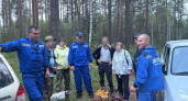 Группа из пяти грибников заблудилась в лесу Юринского района