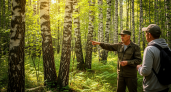 Не ходи в тот лес, только потеряешь время: лесник рассказал как определить место, где грибы можно собирать багажниками