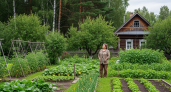 Теперь строго запрещено: новое правило для всех владельцев дач и огородов
