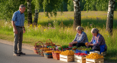 Туриста из Германии удивила торговля грибами и ягодами на обочинах дорог в России