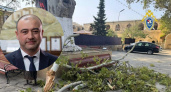 Глава Дербента прокомментировал гибель йошкаролинки под упавшим деревом: "Готовы оказать помощь"
