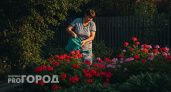 Положите лист герани в карман - вы обомлеете от эффекта