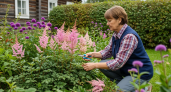 Садовые секреты: эти 7 приемов обрезки после цветения превратят ваш сад в предмет зависти соседей