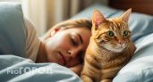 Кошки защищают ваш сон: ученые выяснили, что они делают, пока вы спите