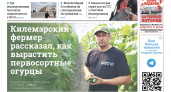 Газета городских новостей Pro Город Йошкар-Ола онлайн (дата выхода 13/09/2025)
