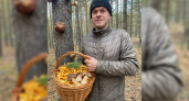 Два ведра грибов и море лисичек: в Марий Эл продолжается грибной бум