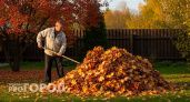 Нужно ли убирать опавшую листву в саду: запомните раз и навсегда