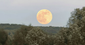 Бобровая Луна: 5 ноября жители Марий Эл увидят редкое астрономическое явление