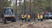  В Марий Эл в два раза сократилось количество лесных пожаров