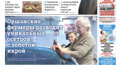 Газета городских новостей Pro Город Йошкар-Ола онлайн (дата выхода 01/11/2025)