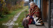 Людям старше 65 лучше держаться от кошек подальше: ученые объяснили причину