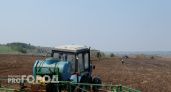Марий Эл превращается в зерновую республику: урожай вырос на 87 тысяч тонн
