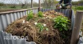 За зиму "переварятся" и толстые ветки и вся трава: как за 1 поездку на дачу ускорить компост