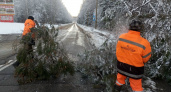 Шторм повалил деревья в Юринском районе, перекрыв трассу Р-177
