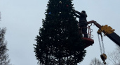 10-метровую елку нарядили в Семеновке