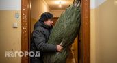 Новый штраф за елку в многоквартирном доме: начнут проверять с 1 декабря