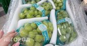 Элитное лакомство или вкус пластика: стоит ли брать огромный виноград, который появился в магазинах