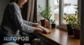 Из окон не дует даже в буран: простая вещь на подоконнике - решает проблему сквозняков и пахнет лесом