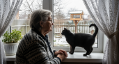 Новое исследование: почему пожилым людям рекомендуют ограничить контакт с домашними кошками