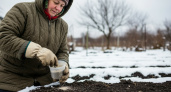 Рассыпаю эту крупу на грядки прямо в снег: весной копать не придется – земля превратится в пух