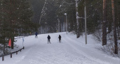 Лыжная трасса в Волжске вновь станет бесплатной для горожан