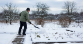 Забытая народная мудрость: как собрать в феврале снег особым способом и получить урожай, от которого соседи позеленеют