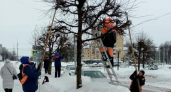 В Йошкар-Оле начали массовую «стрижку» деревьев: почему именно сейчас