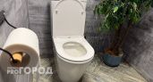Ходить в туалет на унитаз больше не в моде: новый туалетный тренд скоро дойдет и до России