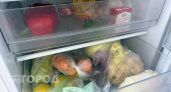 Какие продукты в холодильнике нельзя хранить в пакетах: запомните раз и навсегда