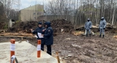 Суд изъял незаконно присвоенные участки в "Сосновой роще" в Йошкар–Оле